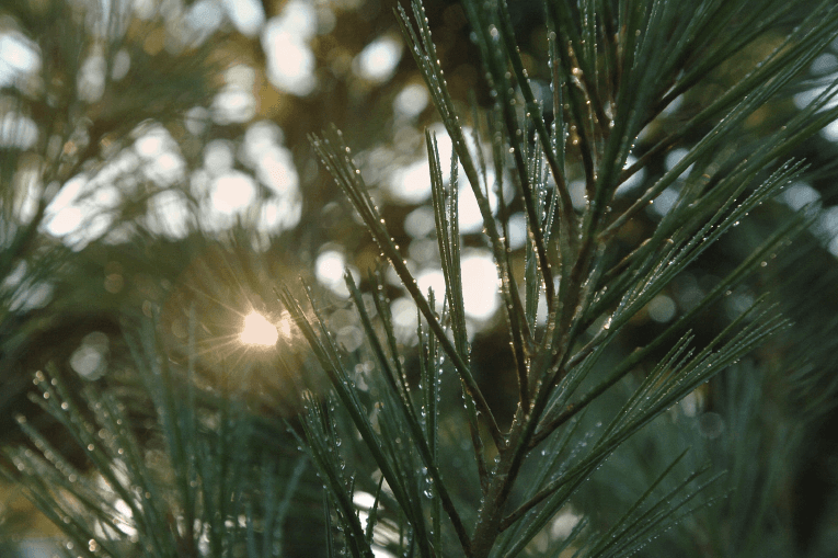 Notes from the past: The Game of Longball