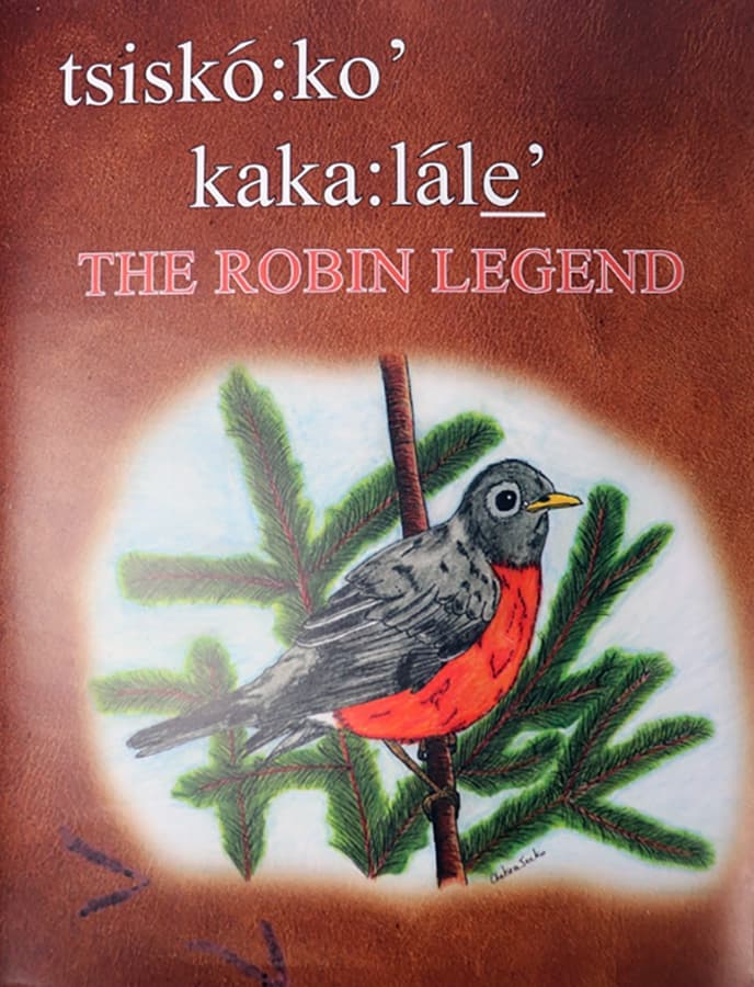 Cover to The Robin Legend