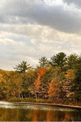river with fall foliage