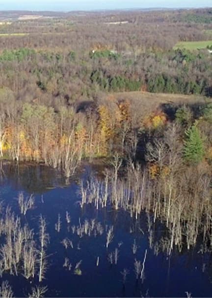 Using Drones to Monitor and Protect Nation Land