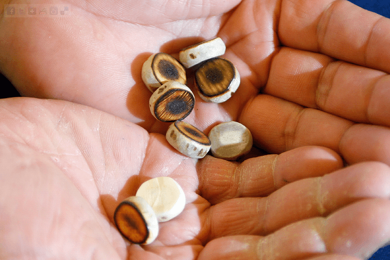 Timeless technique of bones