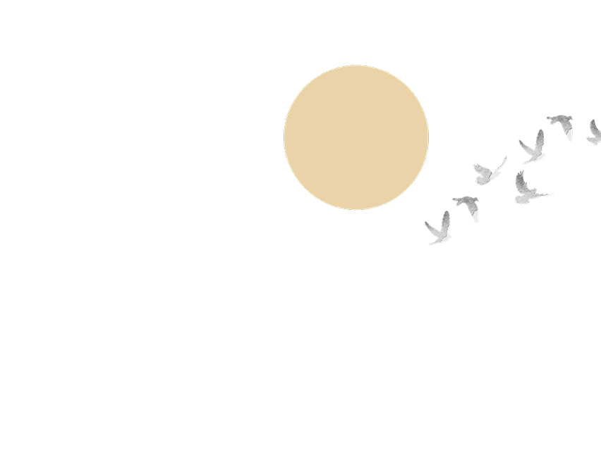 Watercolor painting of a sun and birds